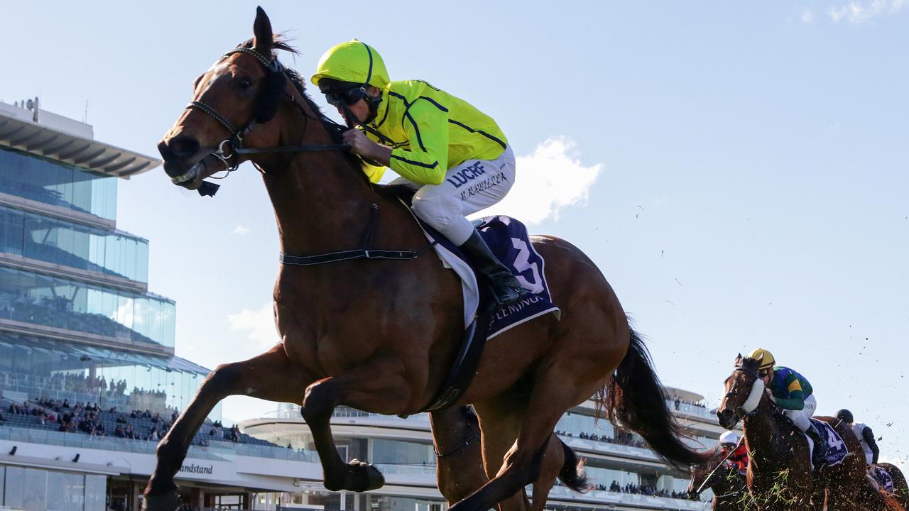 Sirius Suspect will again step out on his favourite in the Group 3 Aurie’s Star Handicap at Flemington. Picture: AAP