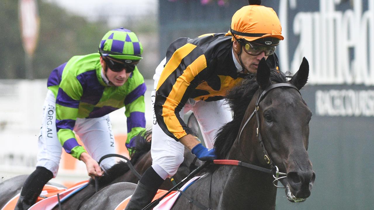 Nonconformist will start his Caulfield Cup assault in the PB Lawrence Stakes at Caulfield. Picture: AAP