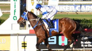 Fab’s Cowboy winning at Bundaberg. Picture: Supplied