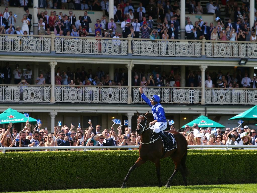 Sydney Spring Racing Carnival 2023 Guide Racenet
