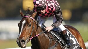 Jim Byrne on Rothfire winning the Run To The Rose at Rosehill Gardens last year. Picture: Mark Evans–Getty Images