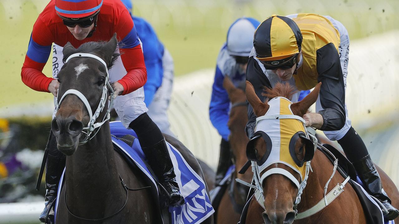 Verry Elleegant (red/blue) is favourite for the Winx Stakes. Photo: Mark Evans/Getty Images