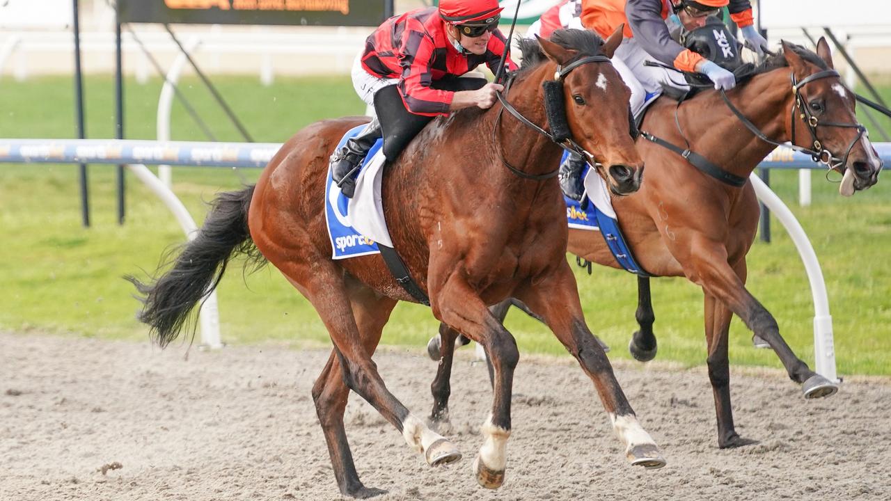 Ballarat Synthetic tips Mischief to pay off again