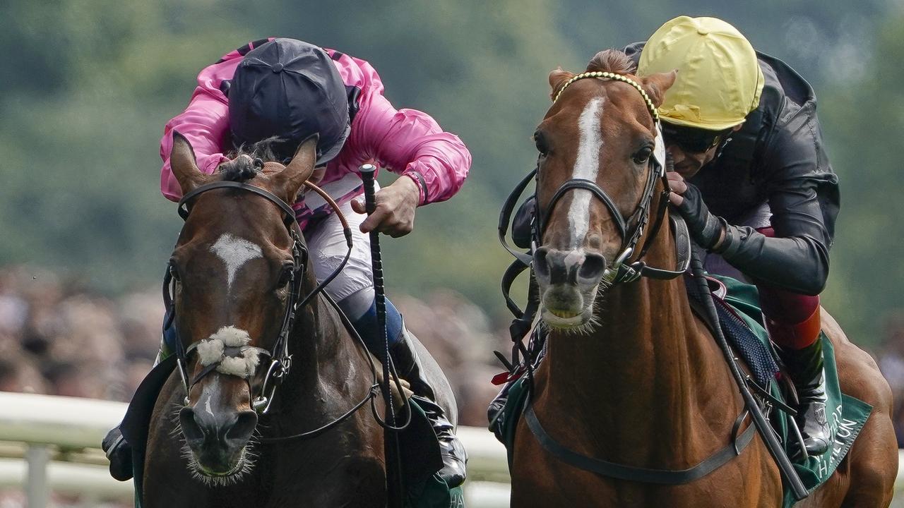 Spanish Mission (left) just goes down to Stradivarius (right) in last week’s Lonsdale Cup at York. Picture: Getty Images