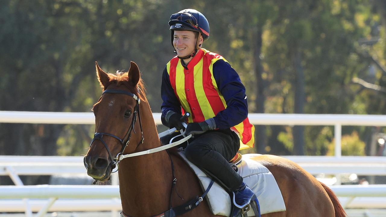 Nature Strip won his trial in impressive fashion. Photo: Mark Evans/Getty Images