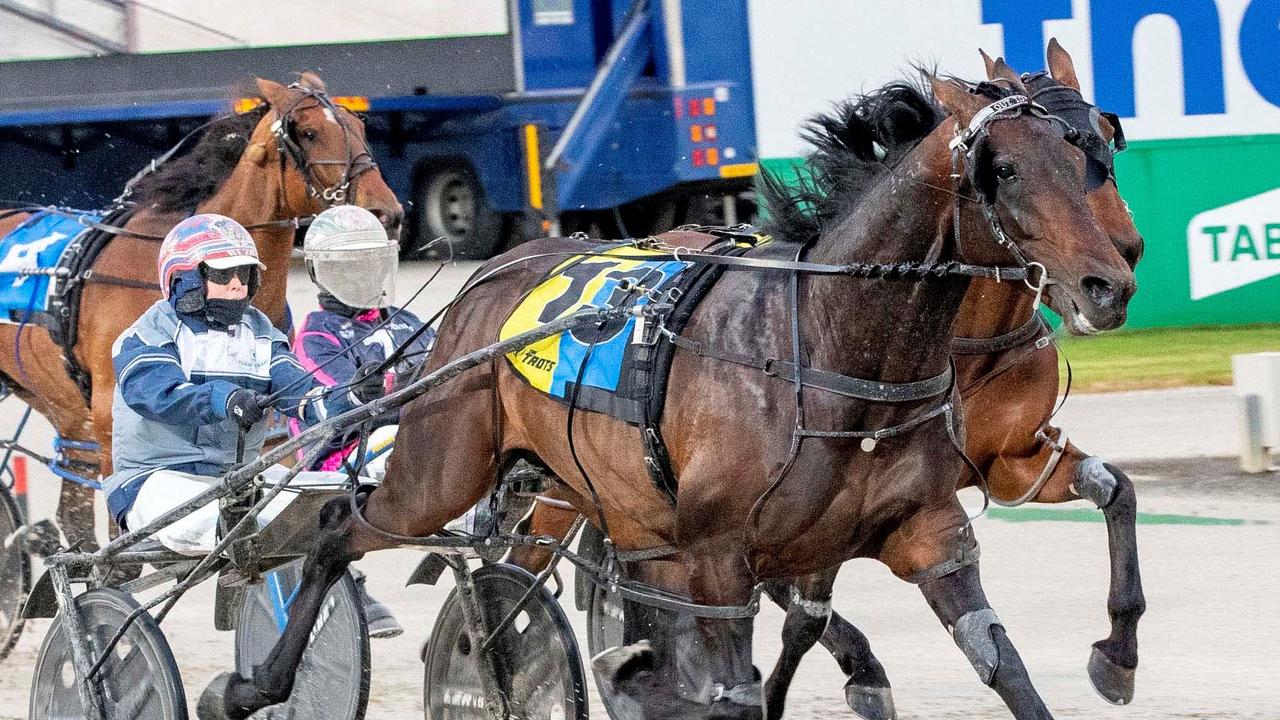 Out To Play returns at Bendigo on Saturday night on his way to the Victoria Cup in October. Picture: Stuart McCormick