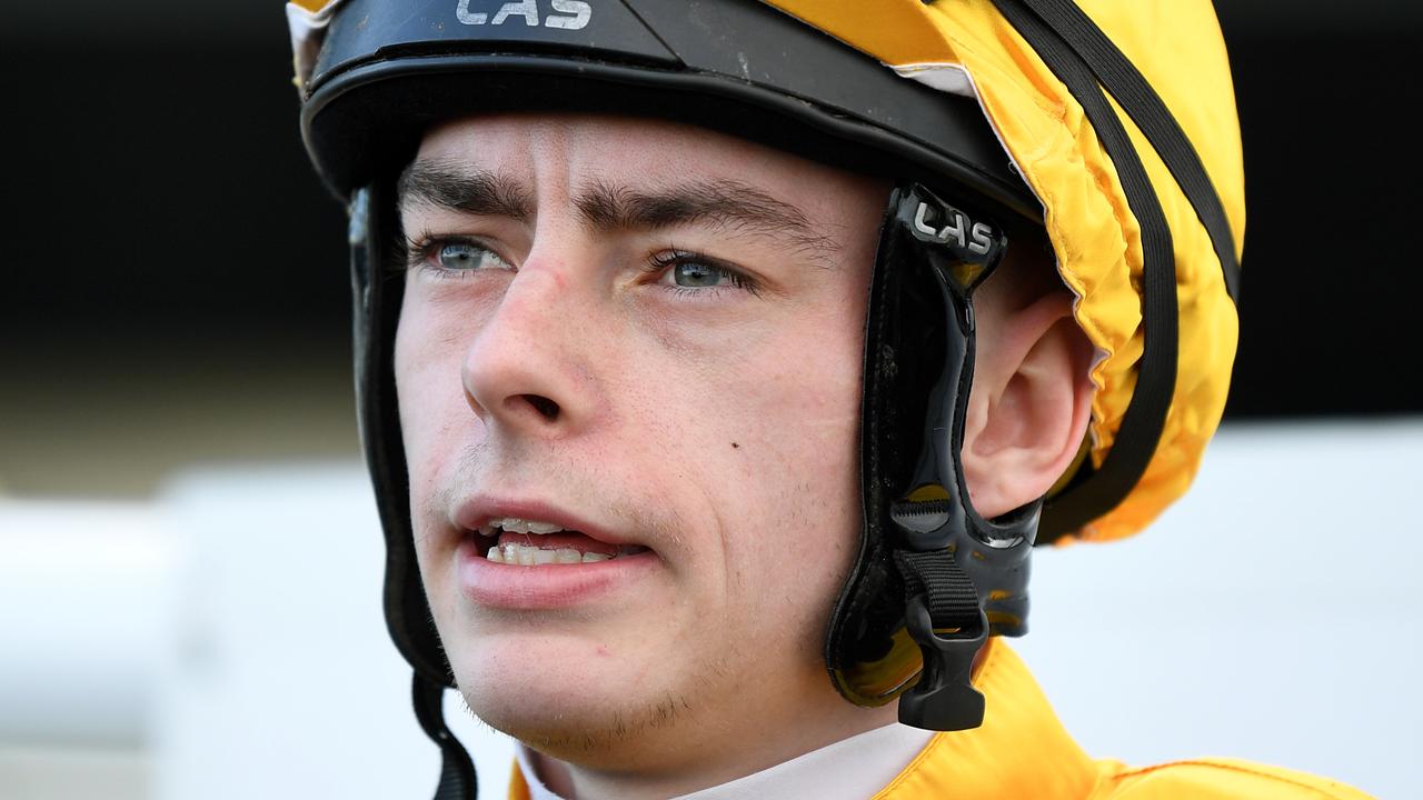 Kensington preview Highpriced debutant ready to make a splash