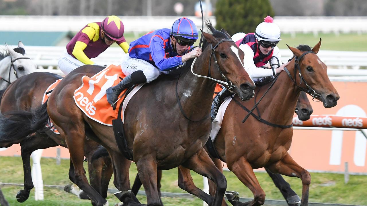 Golden Eagle favourite Ayrton will attempt to post his sixth win from seven starts in The Sofitel. Picture: Racing Photos via Getty Images