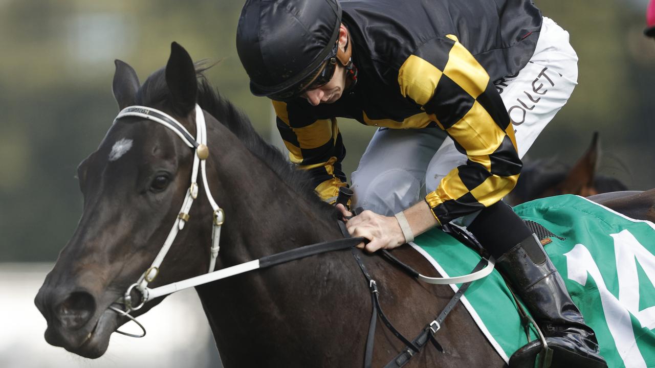 NSW country racing’s glamour girl It's Me. Photo: Mark Evans/Getty Images.