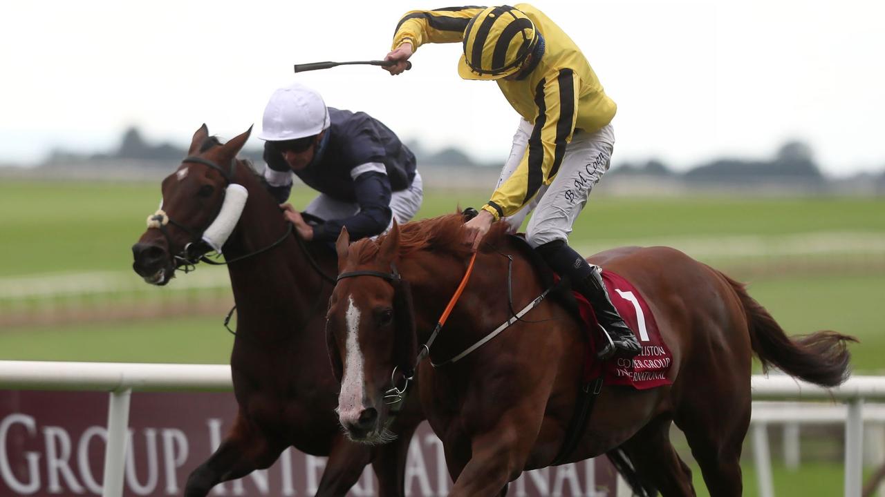 The Johnny Murtagh-trained Sonnyboyliston prevailed in a battle with last year's Melbourne Cup winner Twilight Payment in the Group 1 Irish St Leger at the Curragh. Picture : Getty Images.