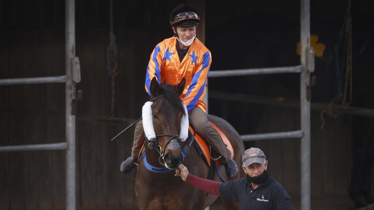 Amarelinha runs in the Bill Ritchie Stakes. Photo: Mark Evans/Getty Images