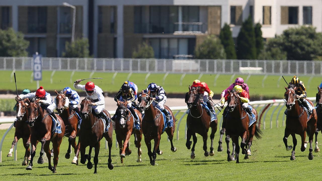 Racing at Randwick. Photo: Jason McCawley/Getty Images.