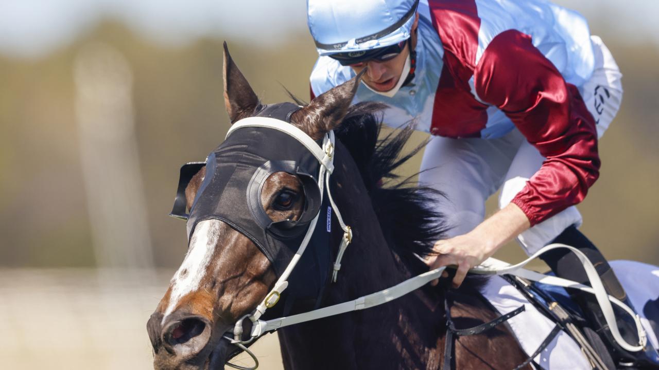 Laure Me In can bounce back to winning form in the Newcastle Gold Cup on Friday. Picture: Getty Images