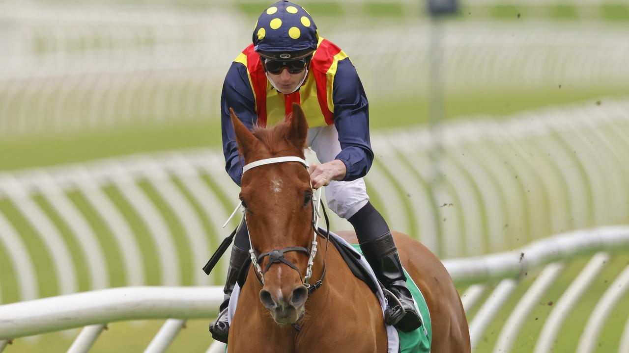 Nature Strip returned with a brilliant win in the Concorde Stakes. Picture: Getty Images