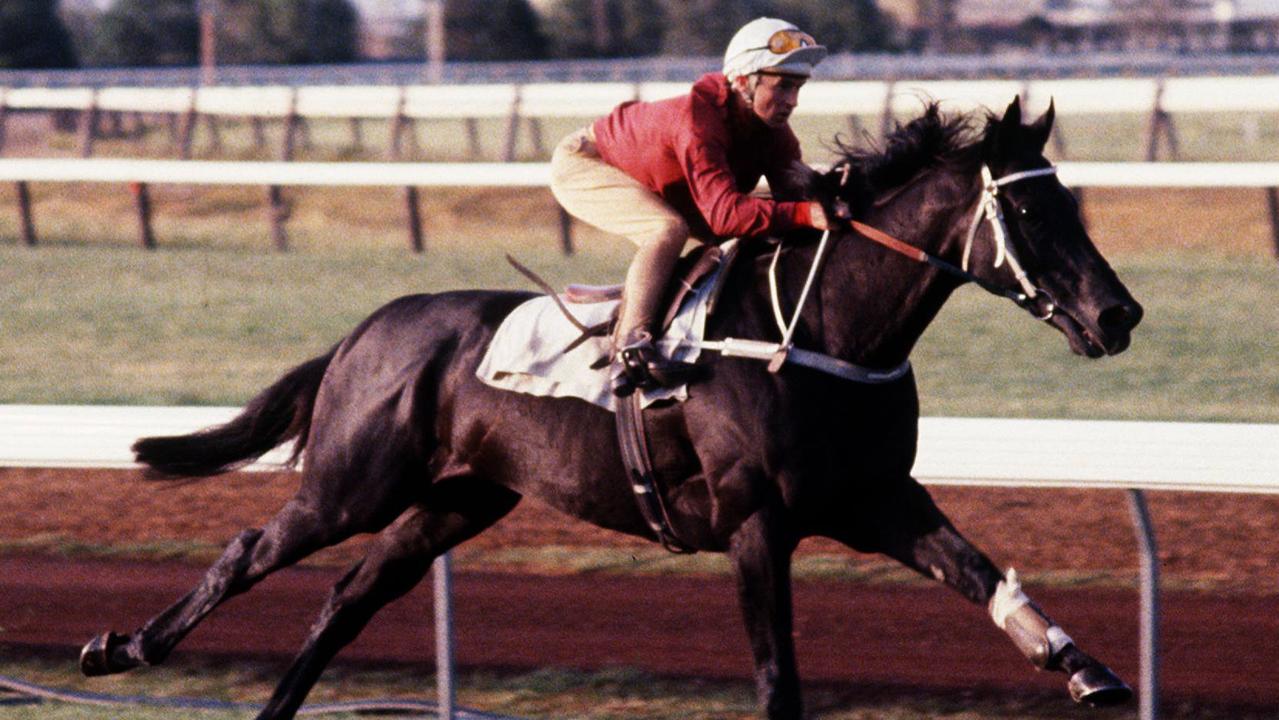 Hall of Famer Kingston Town became the first racehorse in Australia to earn $1 million in prizemoney in September 1981.