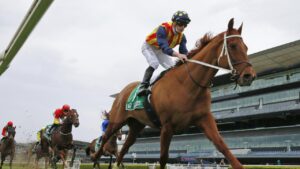 James McDonald on Nature Strip wins the TAB Concorde Stakes (Photo by Mark Evans/Getty Images)