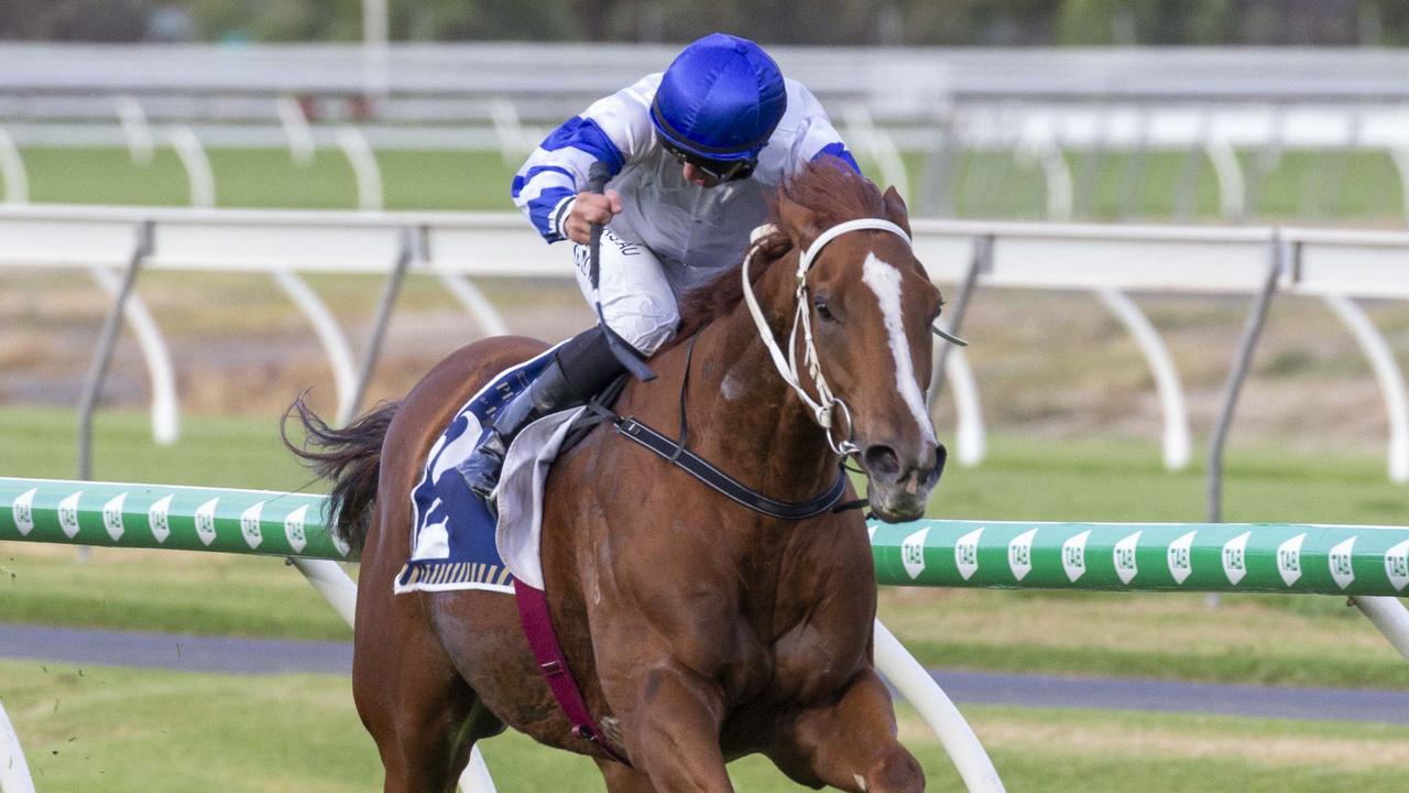 Kemalpasa will make his return at Morphettville before he tackles some spring races in Melbourne. Picture: Atkins Photography