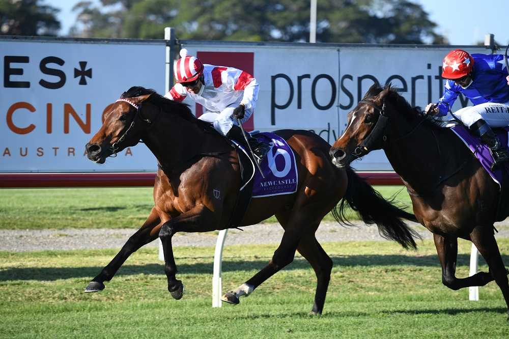 Madam Legend takes out the Tibbie Stakes at Newcastle on Friday. Photo: Steve Hart.