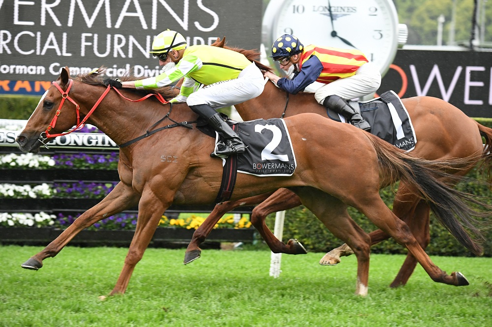 Eduardo prevails after a dogfight with Nature Strip in The Shorts at Randwick on Saturday. Photo: Steve Hart.