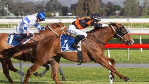 Gary Lo drives Free Of Debt to the line to win the Wylie Handicap. Picture: Atkins Photography