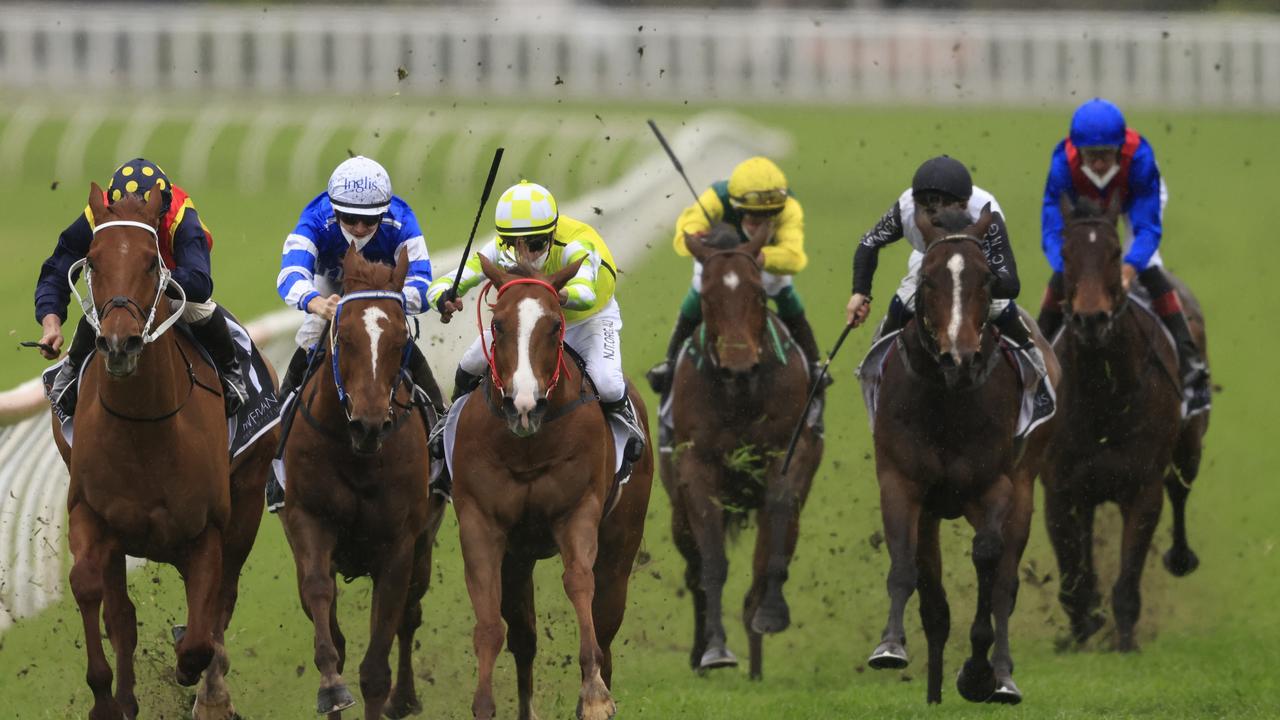 Lost And Running (blue, right) failed to beat a runner home in The Shorts. Photo: Mark Evans/Getty Images