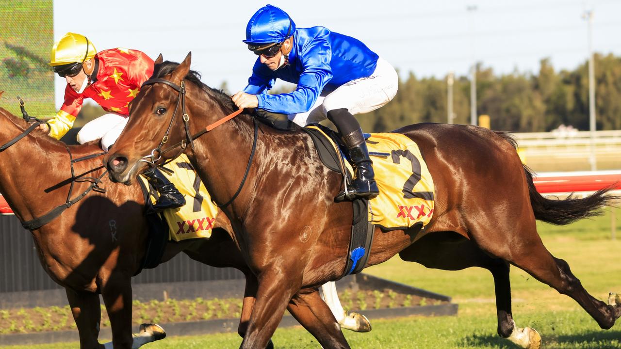 Anamoe is the hot favourite for the Golden Rose. Photo: Mark Evans/Getty Images