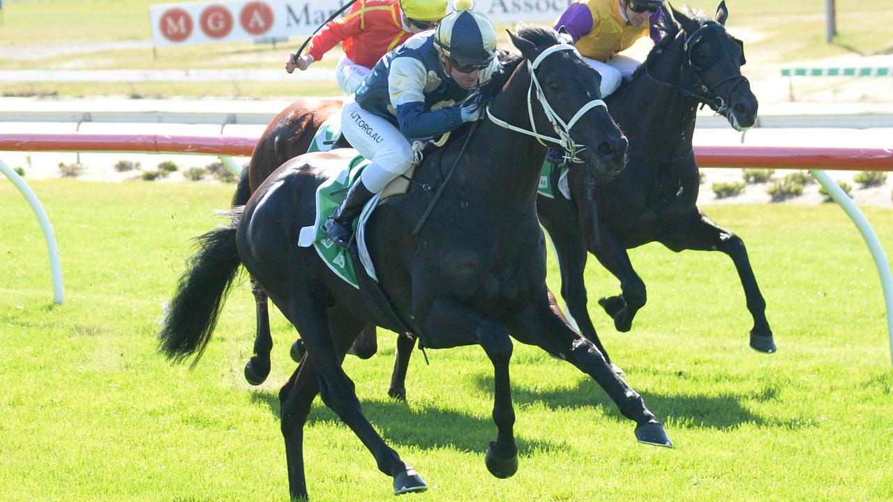 Footlights can win his way into the Victoria Derby with a win in Wednesday’s Derby Trial at Flemington. Picture : Racing Photos via Getty Images.