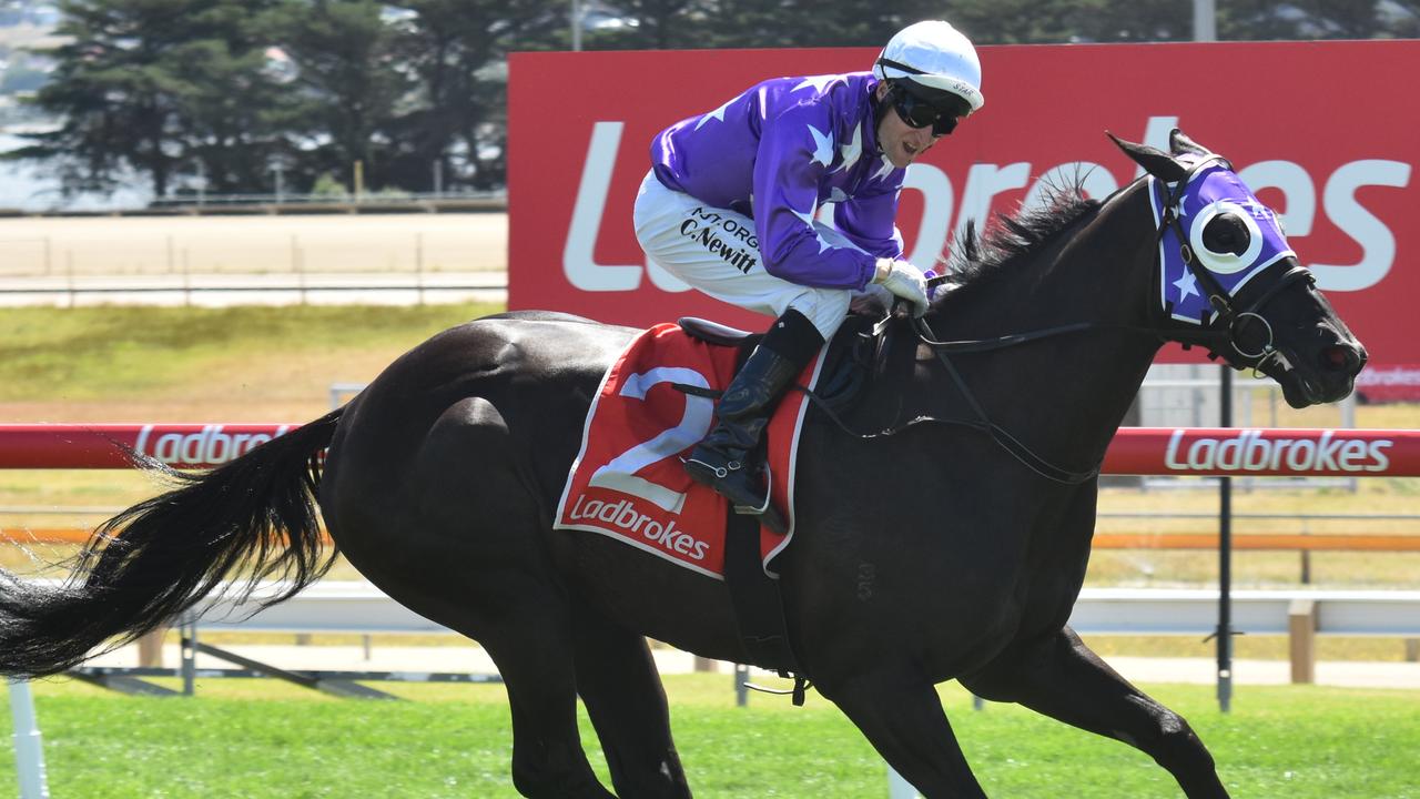 Craig Newitt winning the Listed Thomas Lyons Stakes aboard Newhart in Hobart. Picture: Supplied