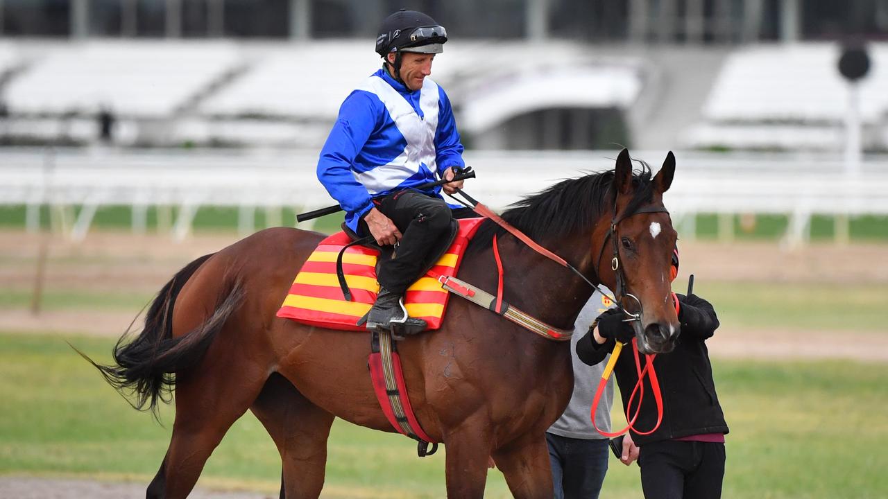 Libertini was found to be lame. Photo: AAP Image/Vince Caligiuri