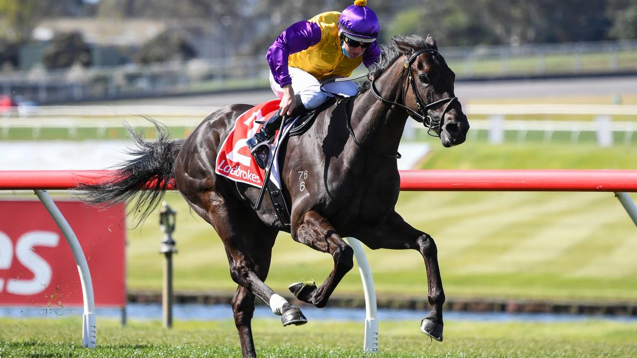 Elephant (NZ) ridden by Damian Lane wins the Ladbrokes Sandown Stakes at Ladbrokes Park Hillside Racecourse on September 25, 2021 in Springvale, Australia. (Pat Scala/Racing Photos via Getty Images)