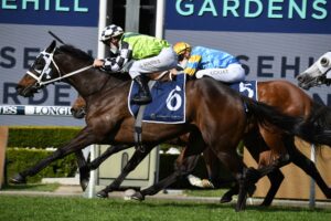 Yonkers gave Glyn Schofield a feature race win on Saturday when taking out the Group 2 Shannon Stakes. Photo: Steve Hart.