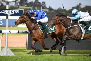 Vangelic proved too quick for her rivals in the Golden Pendant at Rosehill on Saturday. Photo: Steve Hart.