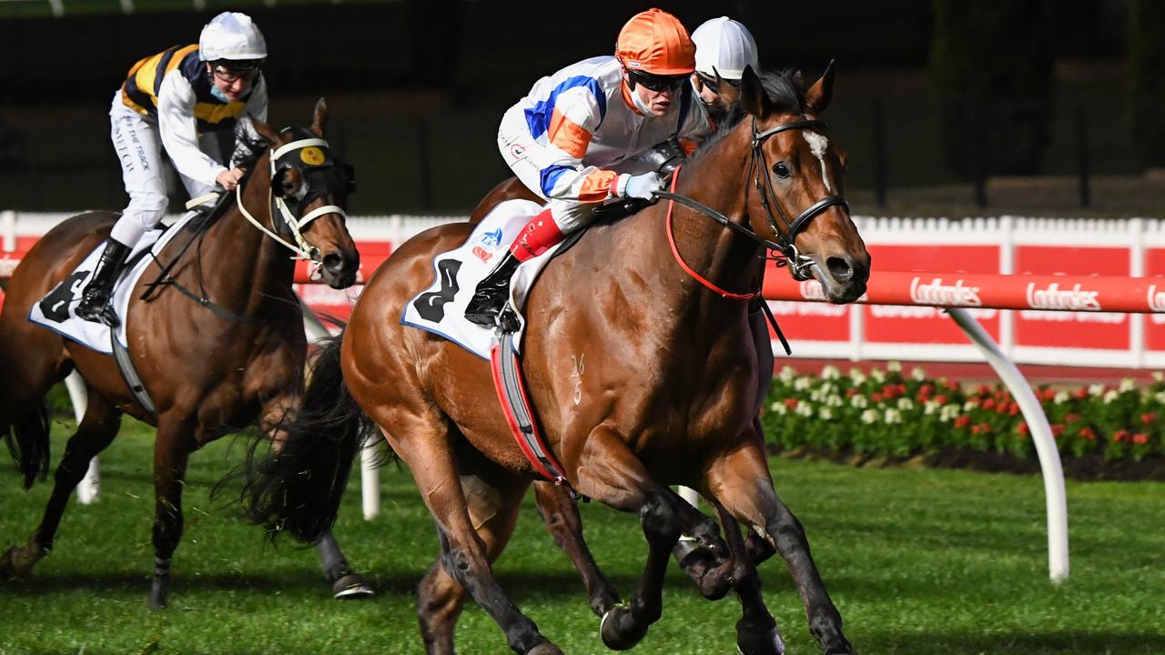 Jockey Craig Williams steered Secret Blaze to victory for trainers Tony and Calvin McEvoy in the Group 3 JRA Cup at The Valley. Picture : Racing Photos via Getty Images.