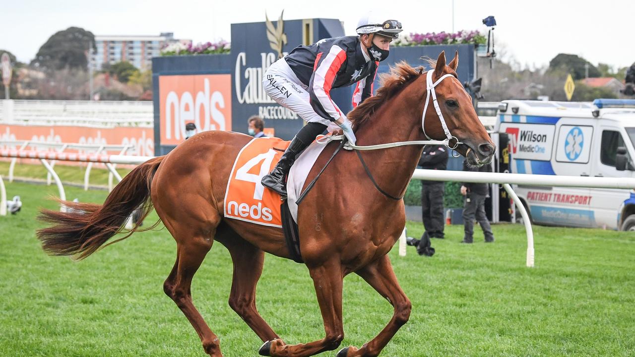 Dalasan will run in the Epsom Handicap. Photo: Pat Scala/Racing Photos via Getty Images