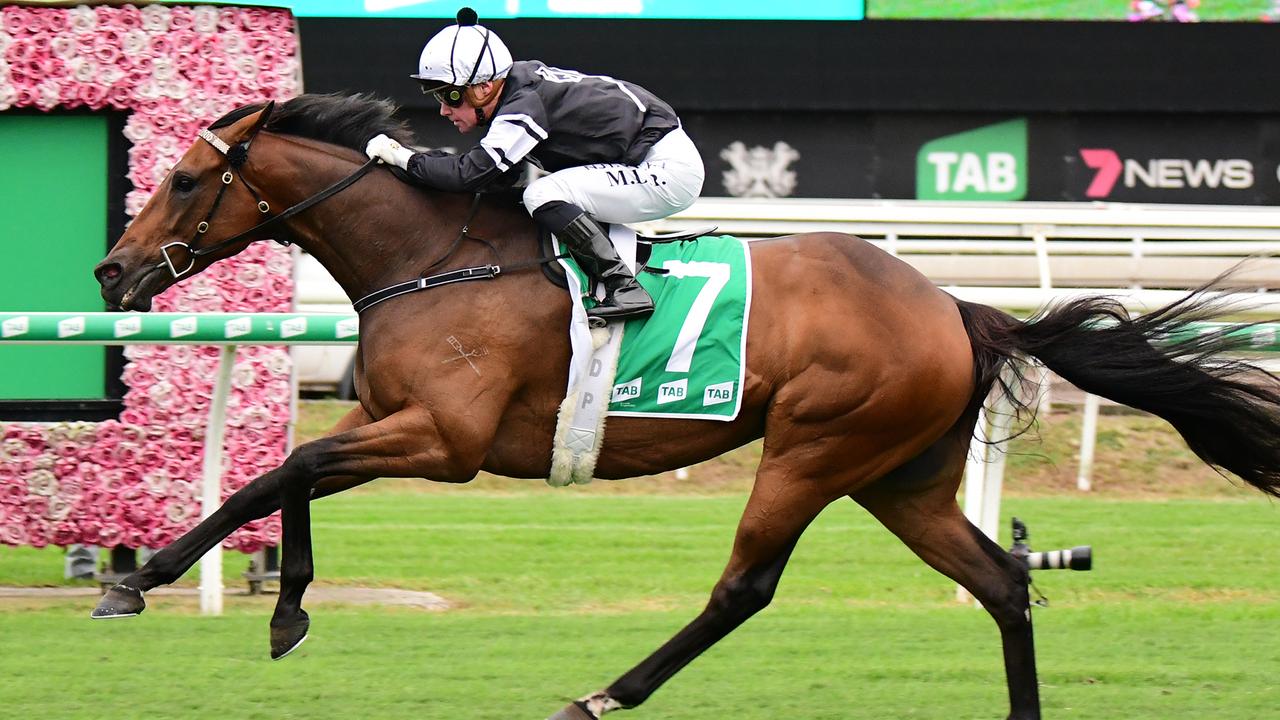 Victorem is out of The Kosciuszko. Picture: Trackside Photography