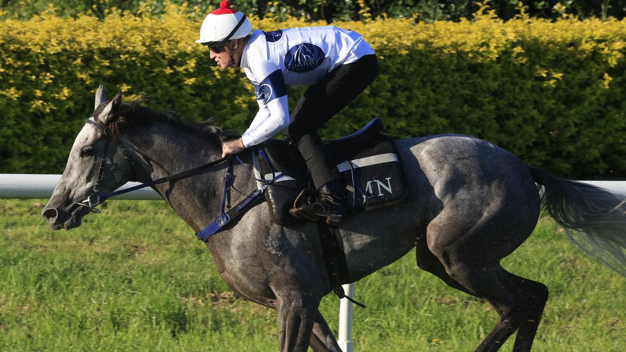 Harmony Rose runs in the Epsom Handicap. Photo: Mark Evans–Getty Images