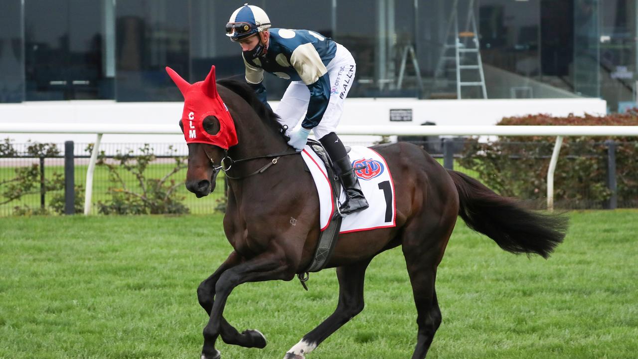 Sir Dragonet is likely to have a wet track for his next appearance in Saturday’s Group 1 Turnbull Stakes at Flemington. Picture : Racing Photos via Getty Images.