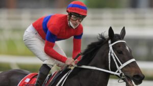 Old champ versus new champ, I’m keen to bet in the GI Turnbull Stakes. Picture: Getty