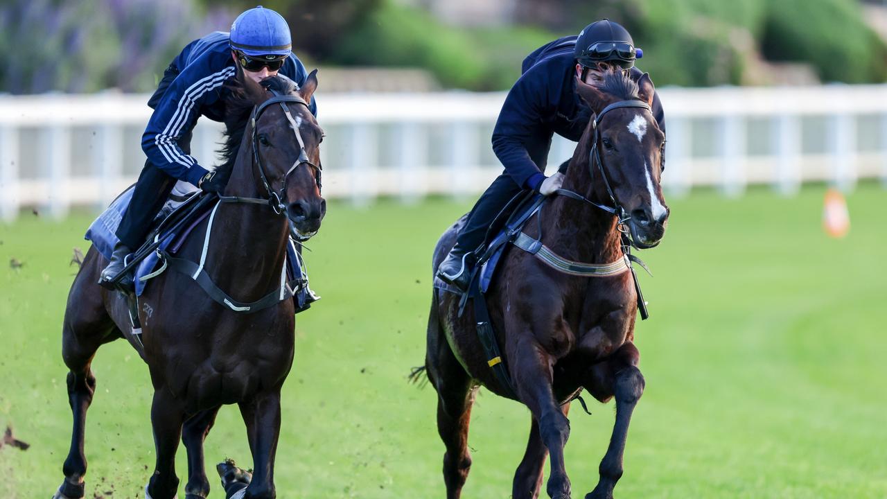 Sir Dragonet (left) working with Persan at The Valley last month. Picture: Getty