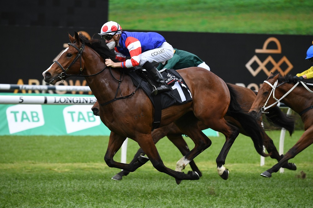 Sejarden made a winning start to his career in the Breeders’ Plate at Randwick on Saturday. Photo: Steve Hart.