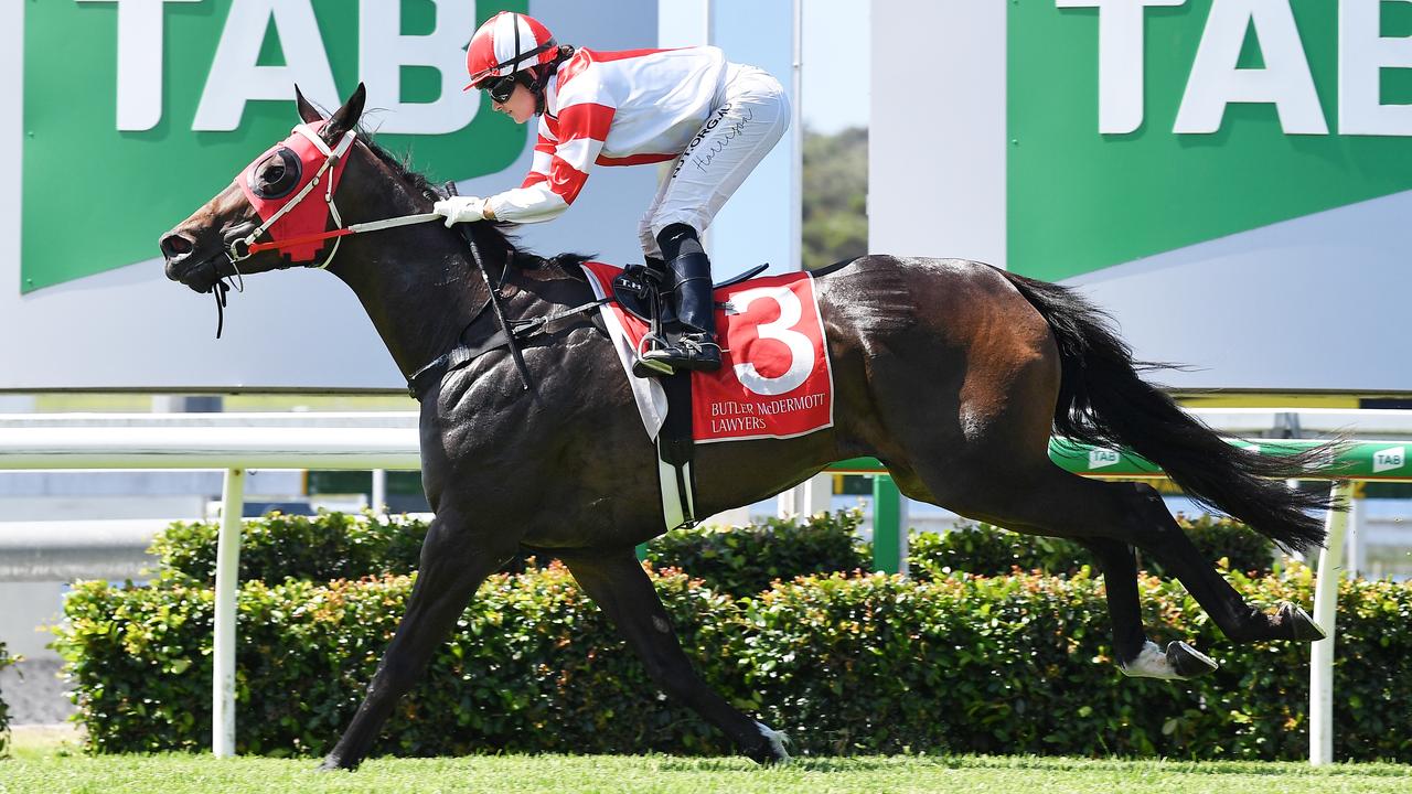 On Sunday they’re racing at the Sunshine Coast - Corbould Park. Photo Patrick Woods/Sunshine Coast Daily.