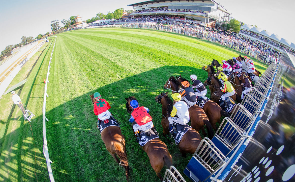 We’re back at Ascot for the summer months and the racing is starting to heat up.