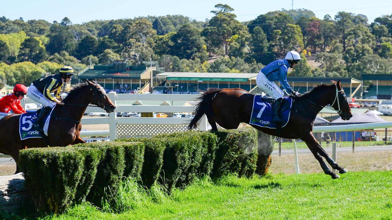 Racing SA has rejected a proposal to save jumps racing in the state. Picture: Brenton Edwards