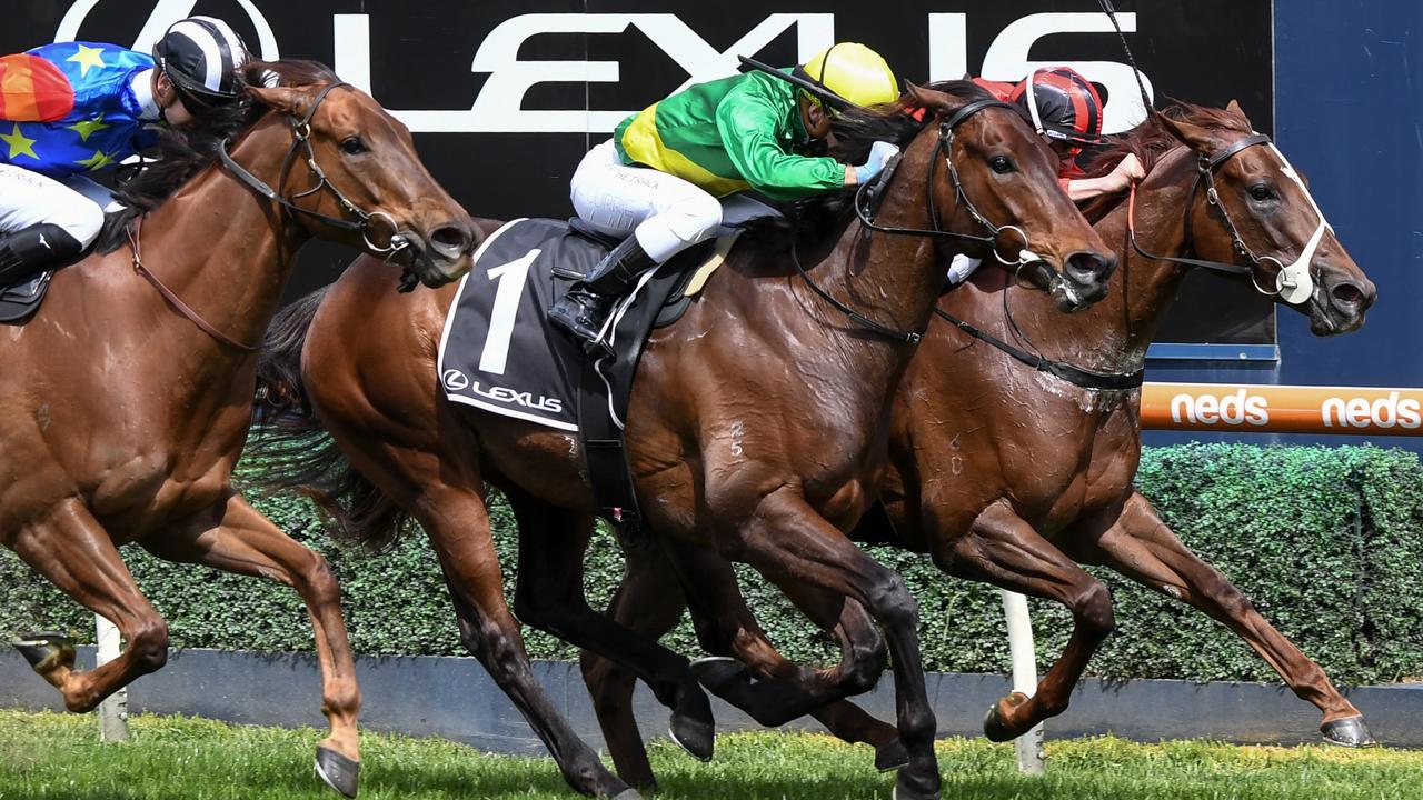 Result And Replay Savatoxl Wins 2021 Schillaci Stakes Racenet