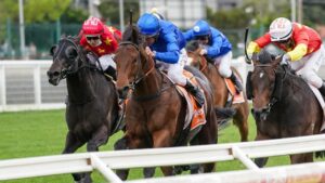 Damien Oliver urges Anamoe to victory in the Caulfield Guineas. Picture: Racing Photos via Getty Images