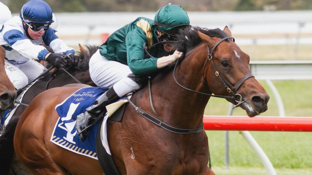 Todd Pannell rides Cerberus to victory in the Hill Smith Stakes at Morphettville. Picture: Atkins Photography