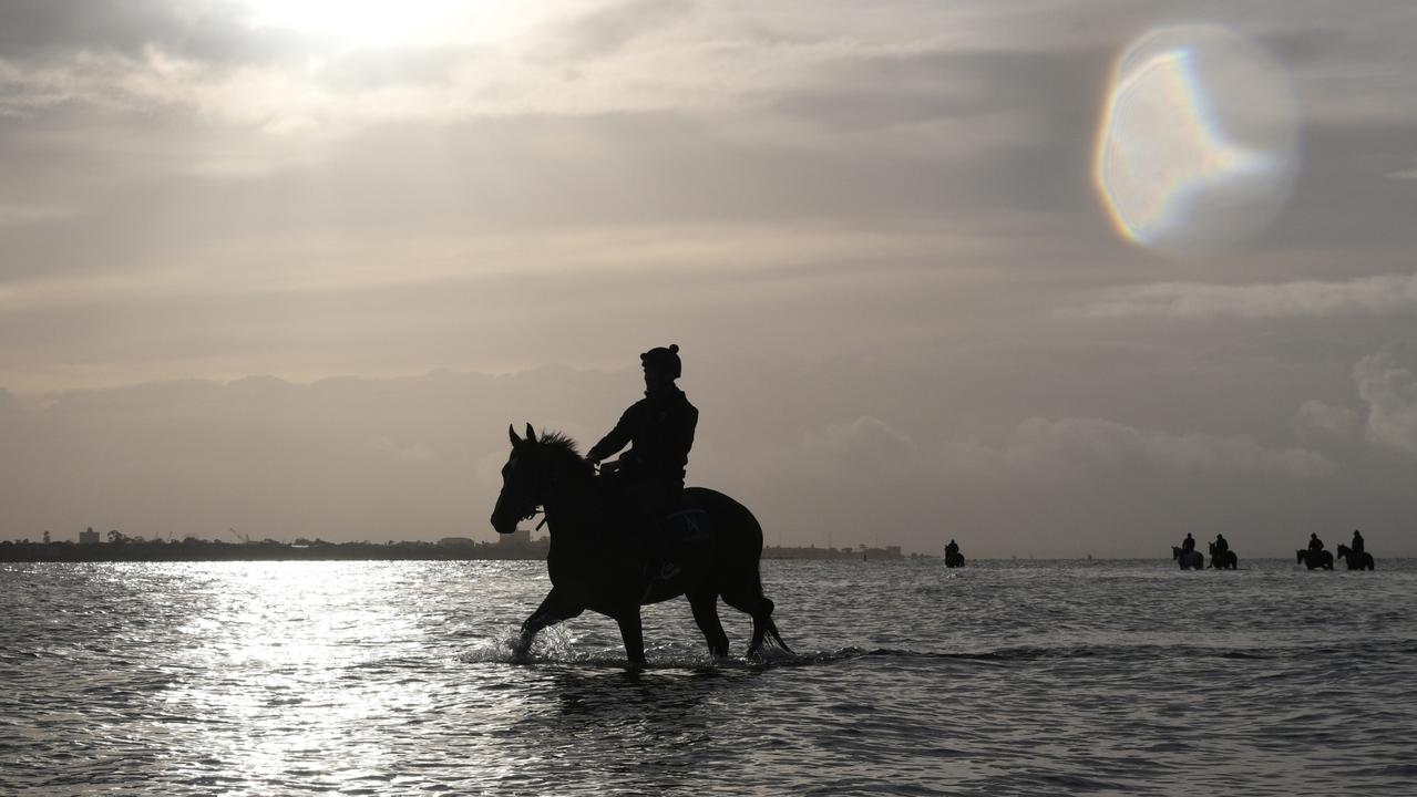 Zaaki has a Sunday morning recovery session following his third placing in the Might And Power Stakes. Picture: Vince Caligiuri–Getty Images