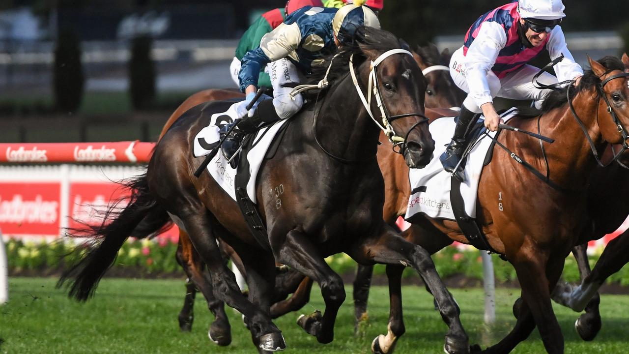 Stutt Stakes winner Forgot You became the Victoria Derby favourite after his Caulfield Guineas run. Picture : Racing Photos via Getty Images.