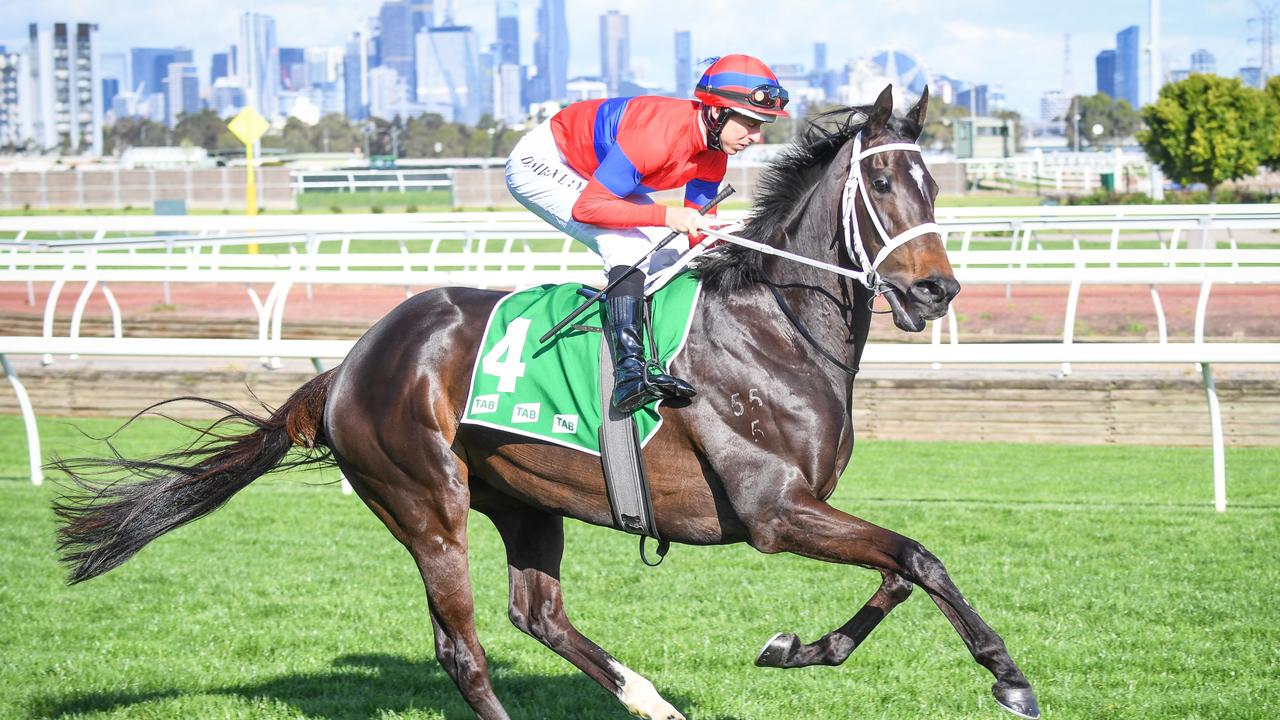 Verry Elleegant has claimed the prestigious Horse Of The Year title. Picture: Getty Images