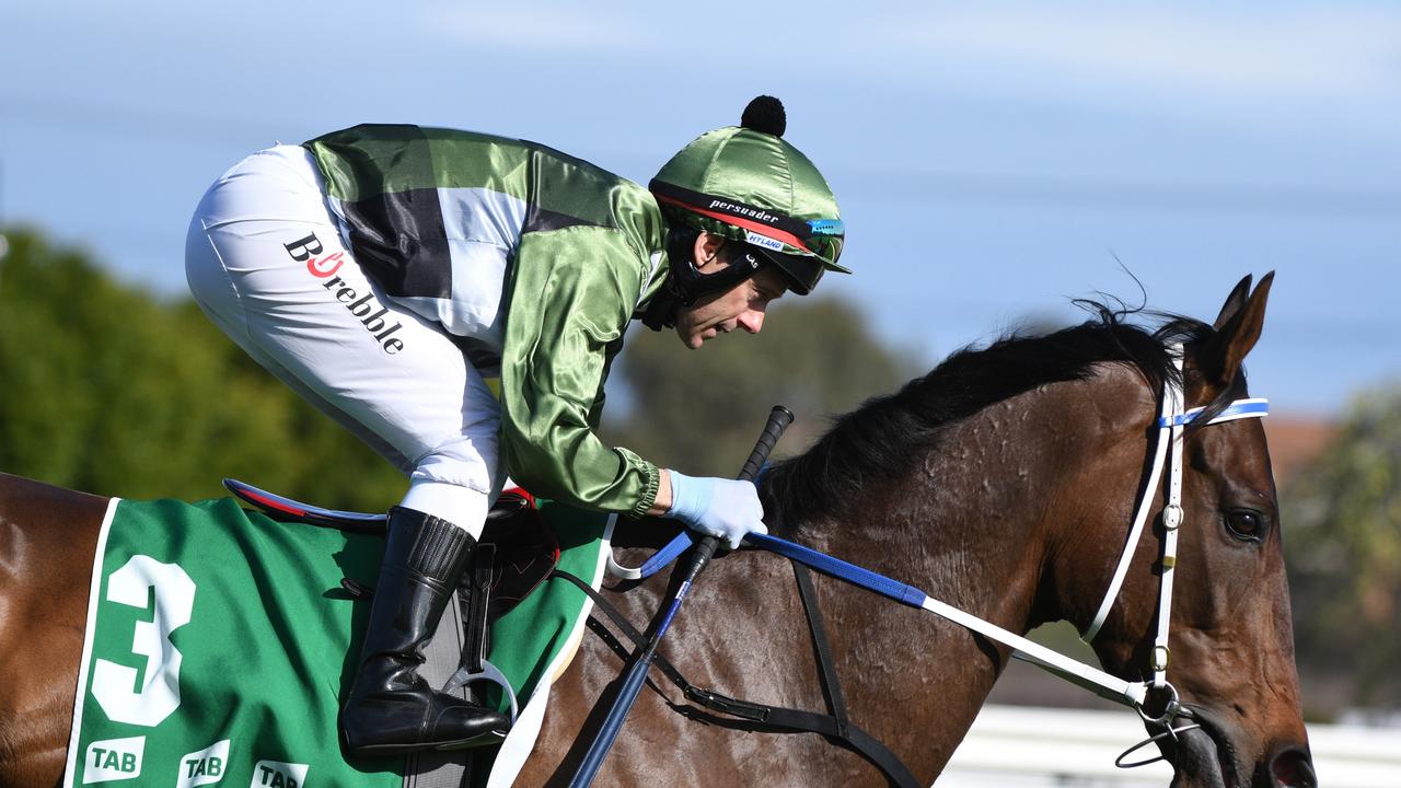 No surprises this bloke is the most highly favourite runner of the spring ‘Big 4’ by the News Corp racing team. Picture: Vince Caligiuri–Getty Images